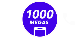  <b>Plan 300 Mb</b>