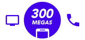  <b> Plan 300 Mb</b>